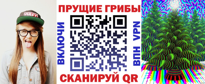 Псилоцибиновые грибы прущие грибы  Нязепетровск 